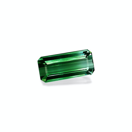 bi colour tourmaline taille RECTANGULARE  27.96 carats