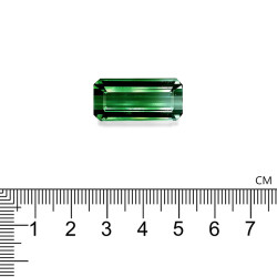 bi colour tourmaline الحجم مستطيلي 33.12 