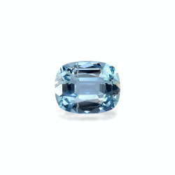 海蓝宝 taille 靠垫 蓝色 4.19 carats