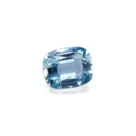 海蓝宝 taille 靠垫 蓝色 4.19 carats