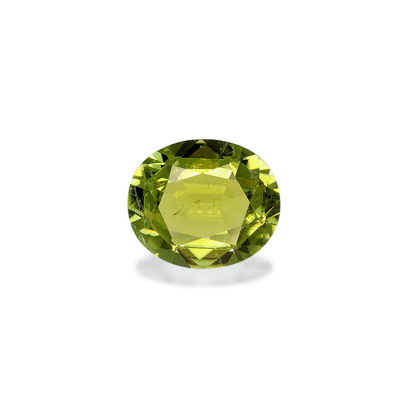 Tourmaline Cuivre taille OVALE Vert Olive 8.82 carats
