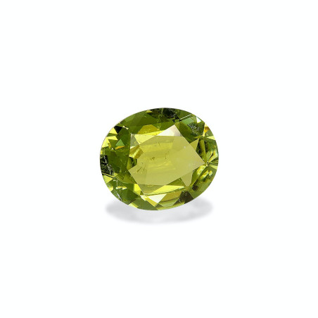 铜电气石 taille 椭圆形 橄榄绿 8.82 carats