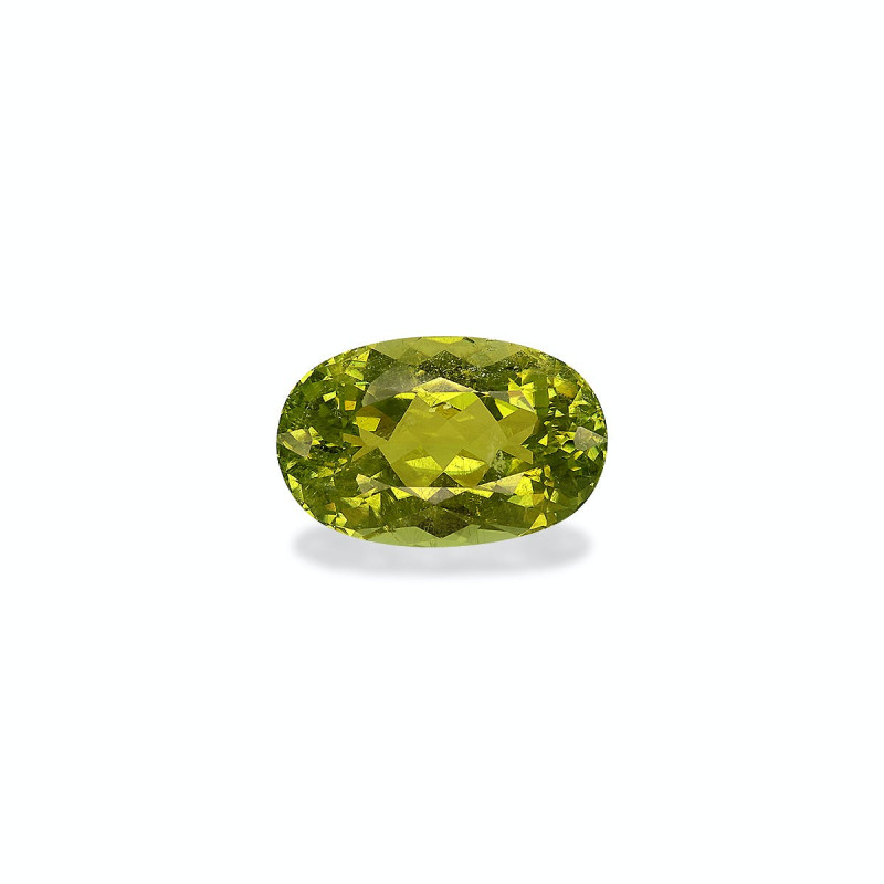 Tourmaline Cuivre taille OVALE Vert Olive 11.04 carats