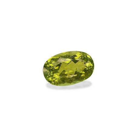 铜电气石 taille 椭圆形 橄榄绿 11.04 carats