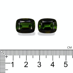 Kussen gesneden Koper Toermalijn Mosgroen 21.52 karaat