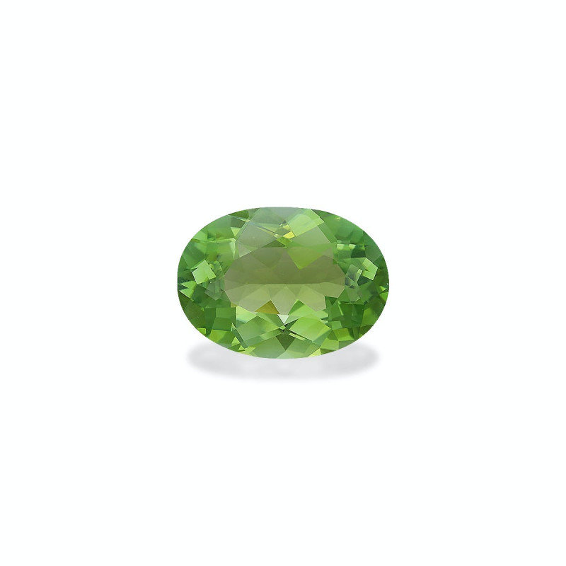 绿色电气石 taille 椭圆形 青柠绿 6.91 carats