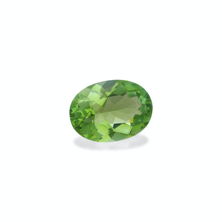Turmalina Verde taille OVALE Lime Green 6.91 carats
