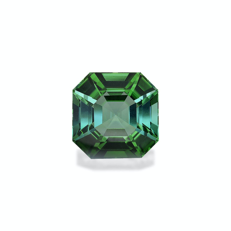 SQUARE-cut Green Tourmaline Green 21.90 carats