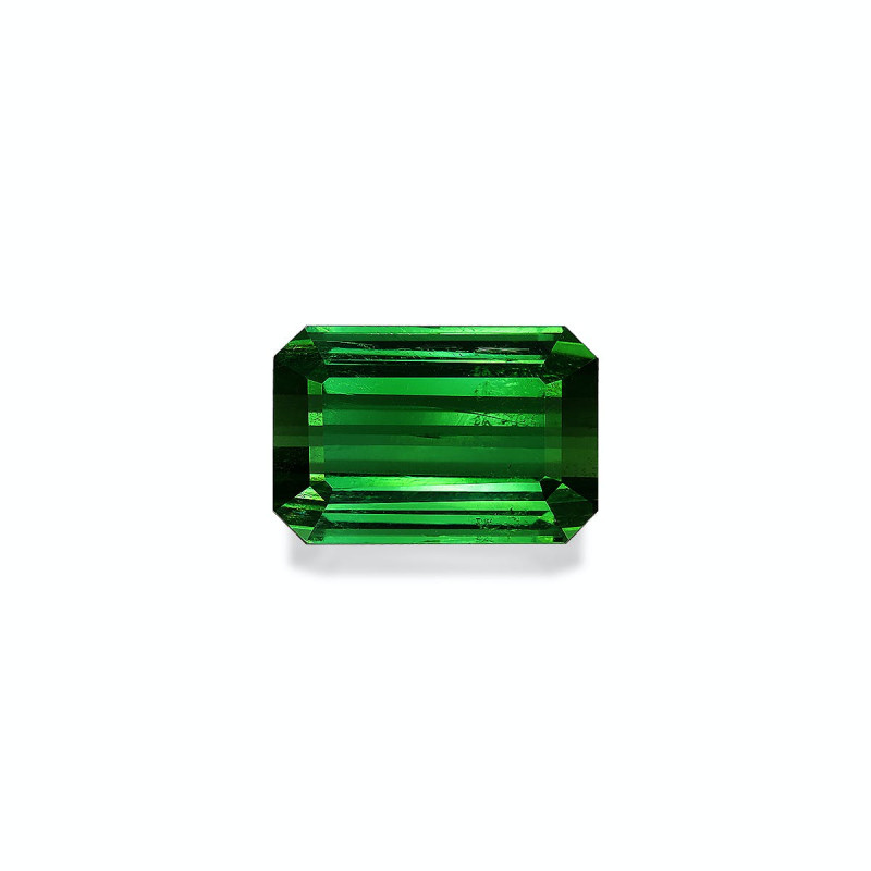 RECTANGULAR-cut Green Tourmaline Green 7.00 carats