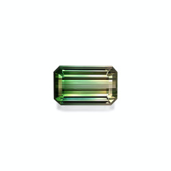 bi colour tourmaline taille...