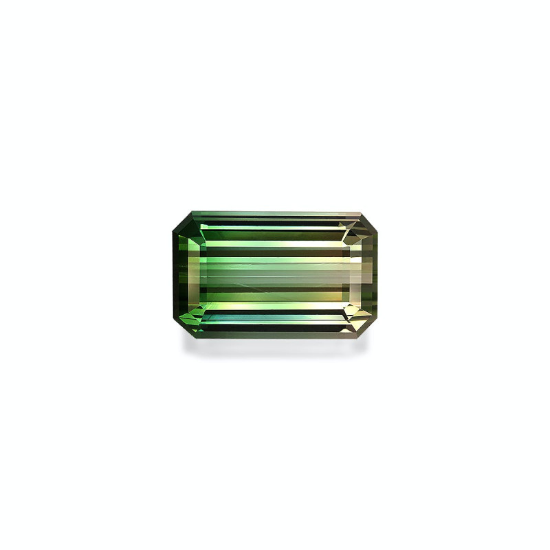 bi colour tourmaline lengte RECHTECKIG  23.83 karaten