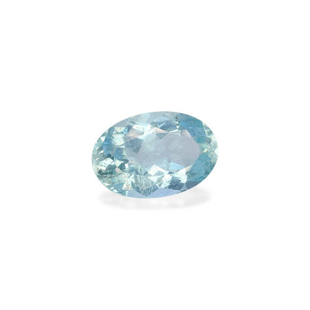 海蓝宝 taille 椭圆形 蔚蓝色的婴儿 20.82 carats