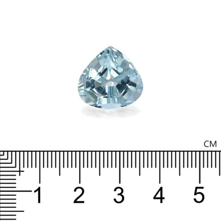 海蓝宝 taille 梨子 蓝天 12.16 carats