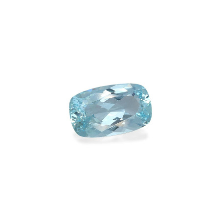 海蓝宝 taille 靠垫 北极蓝 10.55 carats