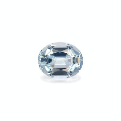 海蓝宝 taille 椭圆形 蓝天 8.28 carats