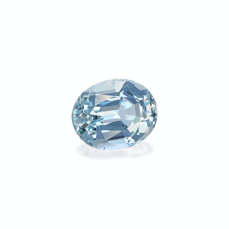 海蓝宝 taille 椭圆形 蔚蓝色的婴儿 4.07 carats