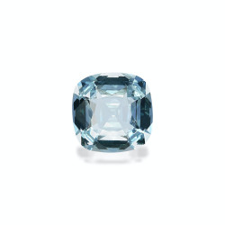 海蓝宝 taille 靠垫 蓝天 12.35 carats