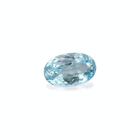 海蓝宝 taille 椭圆形 蓝天 18.93 carats