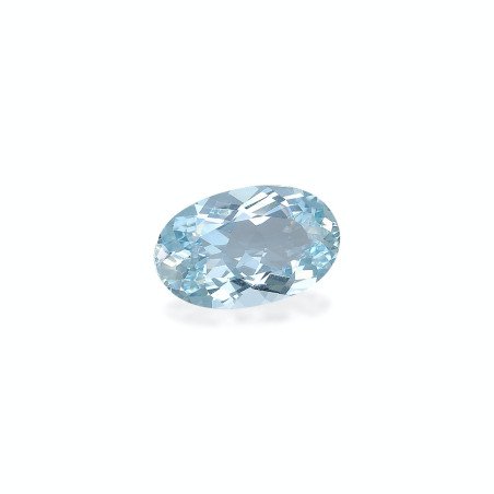 海蓝宝 taille 椭圆形 蔚蓝色的婴儿 6.98 carats