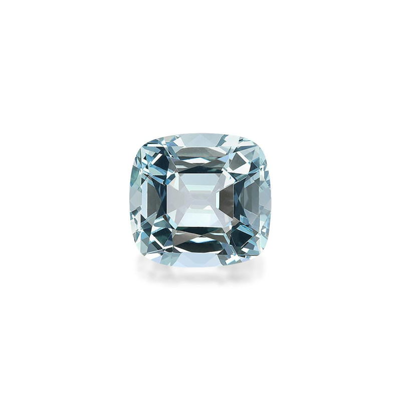 海蓝宝 taille 靠垫 蓝天 7.34 carats