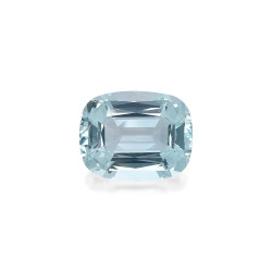 海蓝宝 taille 靠垫 蓝天 49.10 carats