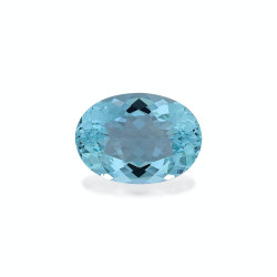 海蓝宝 taille 椭圆形 蓝色 65.98 carats