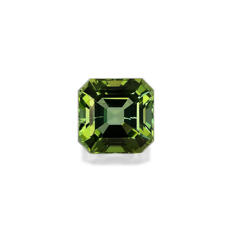SQUARE-cut Green Tourmaline  6.54 carats