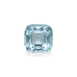 海蓝宝 taille 靠垫 蓝天 18.38 carats