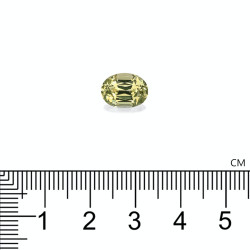 Ovale Daffodil Geel van grote omvang 3,66 karaat