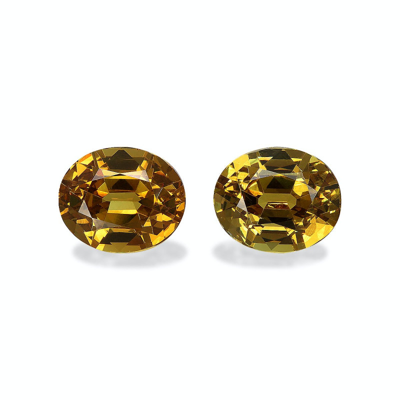 Grenat Grossulaire taille OVALE  8.79 carats