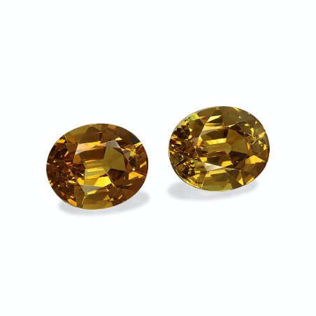 Granate Grosularia taille OVALE  8.79 carats