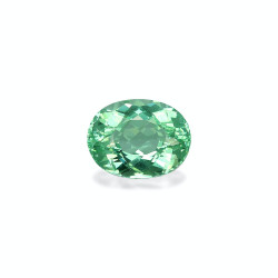 Tourmaline Paraiba taille...