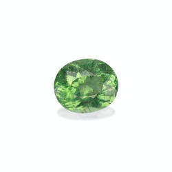 Ovale geslepen groene Paraiba-toermalijn van 4,92 karaat