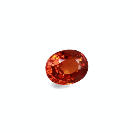 spessartite الحجم بيضاوي  11.84 