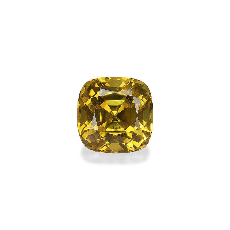 CUSHION-cut Grossular Garnet  6.59 carats
