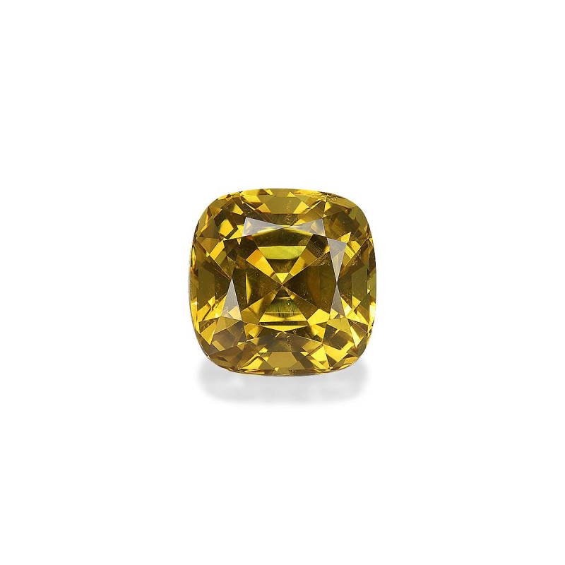 石榴石 taille 靠垫  6.59 carats