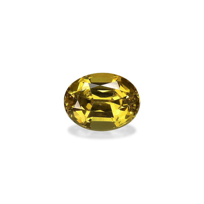Grenat Grossulaire taille OVALE  5.06 carats