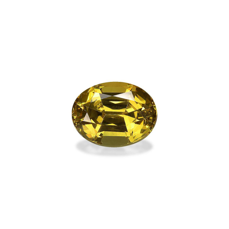 石榴石 taille 椭圆形  5.06 carats
