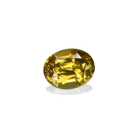 Grenat Grossulaire taille OVALE  5.06 carats