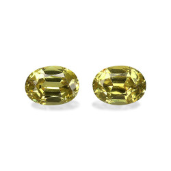 石榴石 taille 椭圆形  3.38 carats