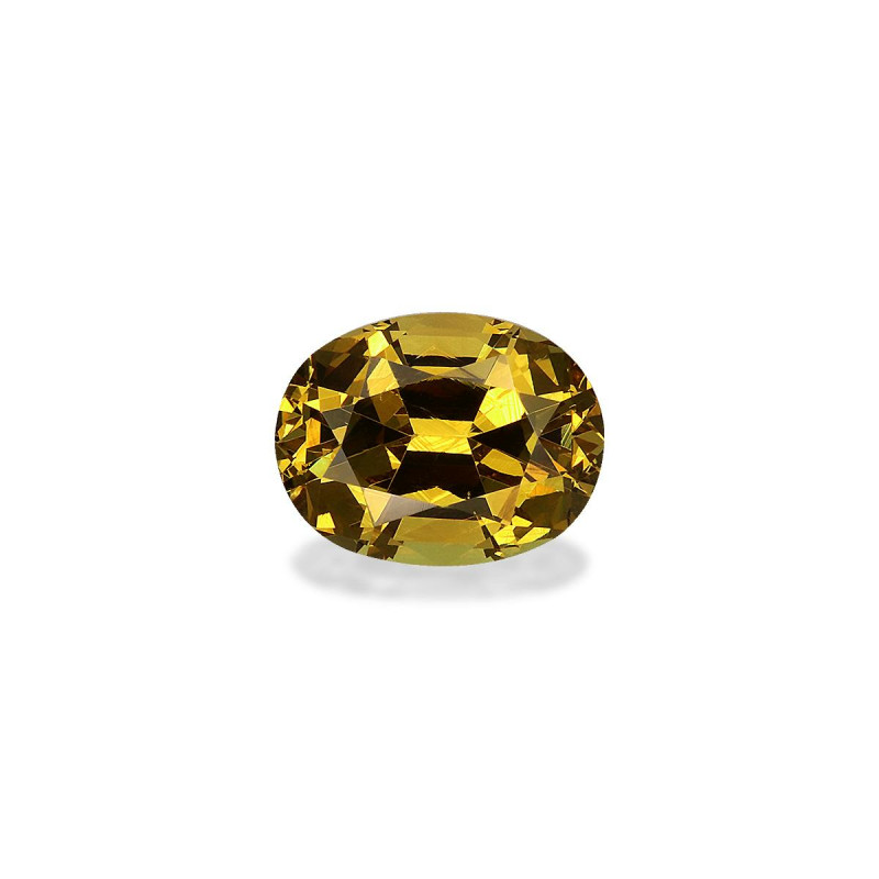 Grenat Grossulaire taille OVALE  2.67 carats