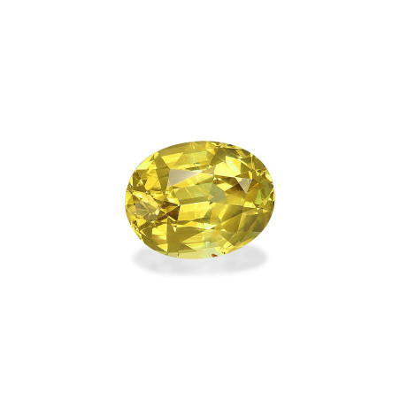 石榴石 taille 椭圆形  2.49 carats