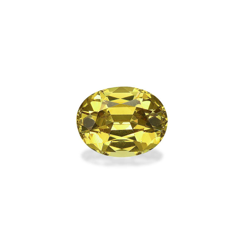 Grenat Grossulaire taille OVALE  2.63 carats
