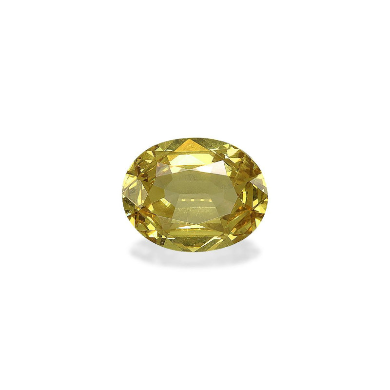 OVAL-cut Grossular Garnet  1.00 carats