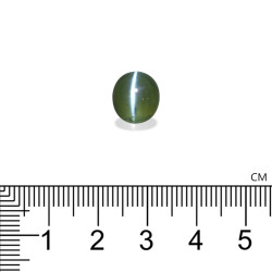 Kattenoog (chrysoberyl) OVALE snit Basil Green 5,22 karaat