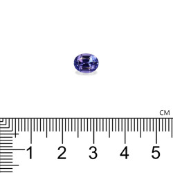 Ovale geslepen Tanzanite Violet Blauw 1.47 karaat