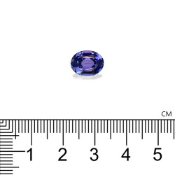 Tansanit lengte OVAL Violettblau 3.48 karaten