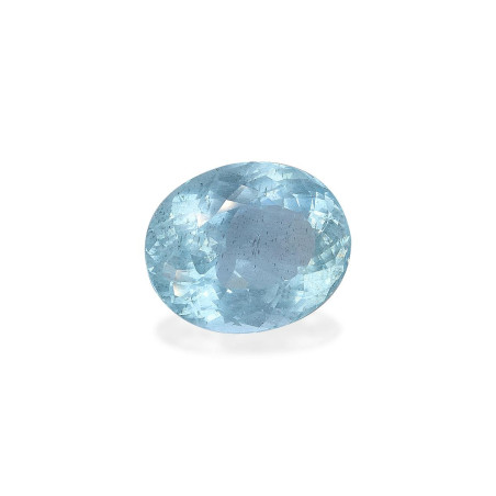海蓝宝 taille 椭圆形 蔚蓝色的婴儿 52.30 carats