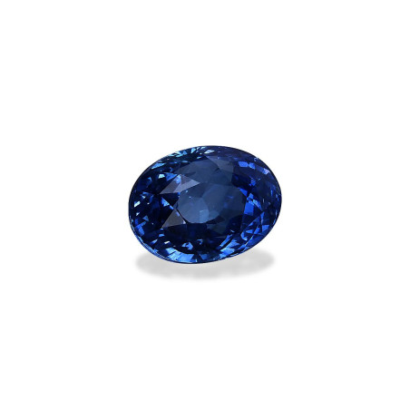 Blauer Saphir lengte OVAL Blau 3.06 karaten