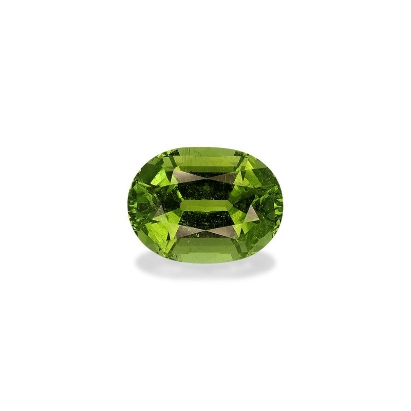OVAL-cut Paraiba Tourmaline Green 13.25 carats